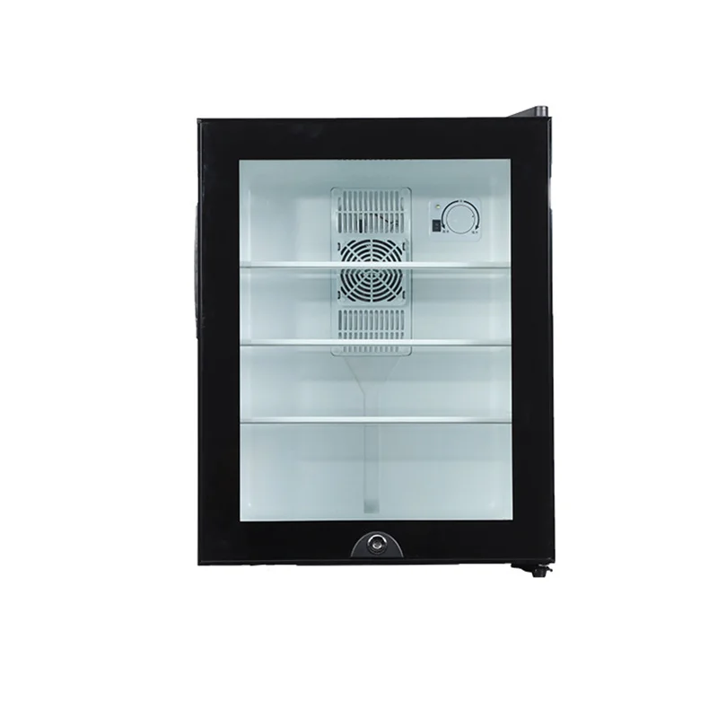 Mini Buzdolabı Soğutucu 40L Bu - Wine Beer Mini Fridge incelemesi ve fiyatı